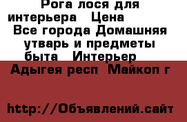 Рога лося для интерьера › Цена ­ 3 300 - Все города Домашняя утварь и предметы быта » Интерьер   . Адыгея респ.,Майкоп г.